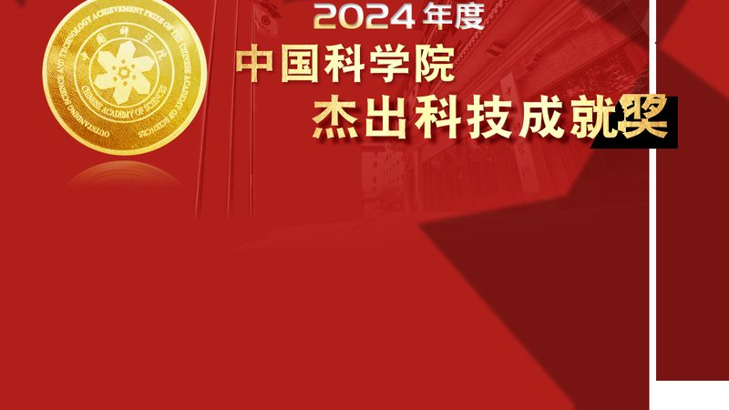 揭秘数据服务公司：十大品牌背后的实力与选择
