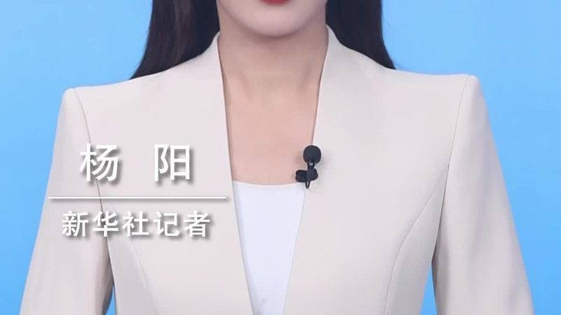 SaaS平台定制开发：揭秘全流程与关键要点