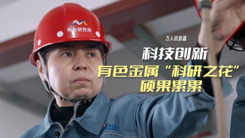 信息化建设与数字化转型：本质区别与路径解析